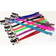 Pet Camelot 5503 Easy Walker Κόκκινο 1,6×120cm