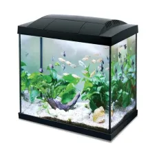 Ενυδρείο με LED Φωτισμό & Εσωτερικό Φίλτρο 20 L.