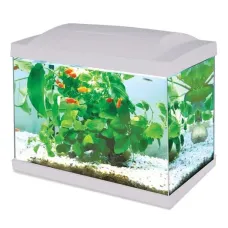 Ενυδρείο με LED Φωτισμό & Εσωτερικό Φίλτρο 60L