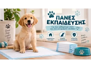 Πάνες Εκπαίδευσης