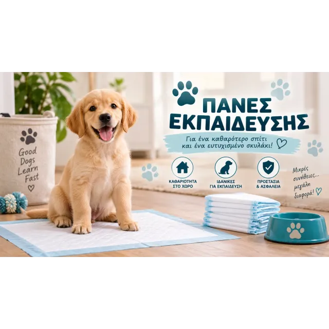 Πάνες Εκπαίδευσης